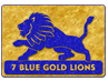 7 Blue Gold Lions, SGPS
